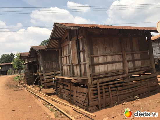 461 ����: ������ 2017. ����