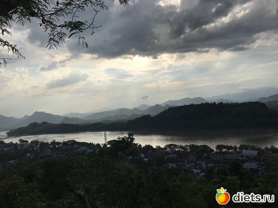 309 ����: ������ 2017. ����