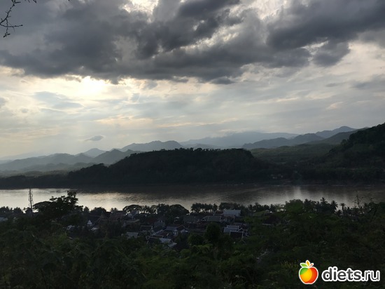 310 ����: ������ 2017. ����