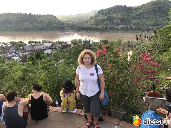 311 ����: ������ 2017. ����