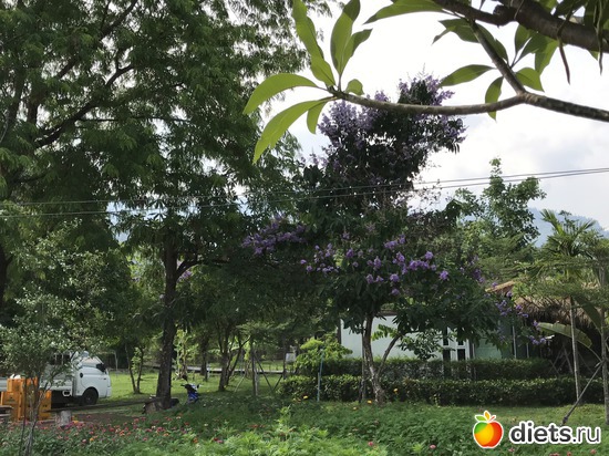 316 ����: ������ 2017. ����