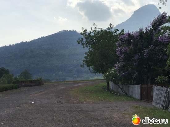 317 ����: ������ 2017. ����