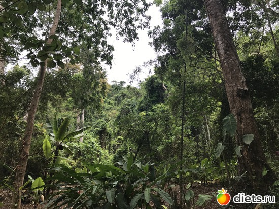 83 ����: ������ 2017. ����