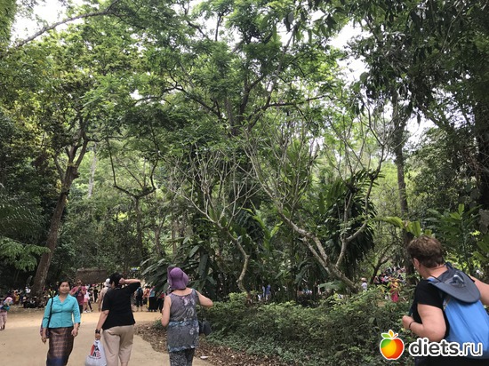 84 ����: ������ 2017. ����