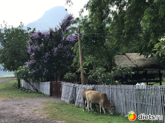 318 ����: ������ 2017. ����