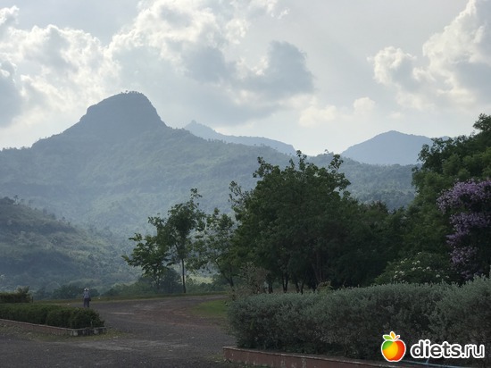 319 ����: ������ 2017. ����