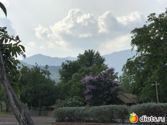 320 ����: ������ 2017. ����