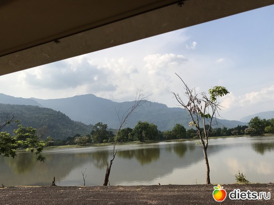 321 ����: ������ 2017. ����