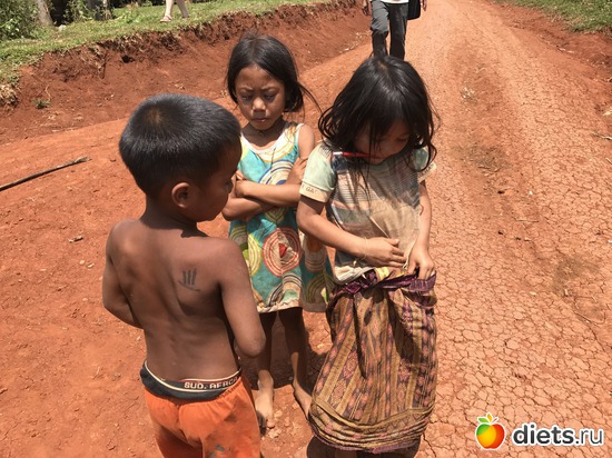 464 ����: ������ 2017. ����