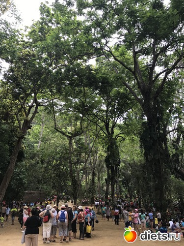 85 ����: ������ 2017. ����