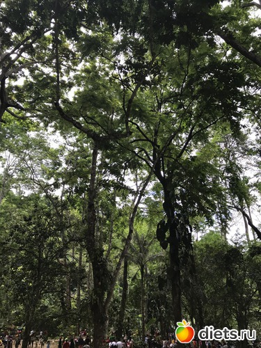 87 ����: ������ 2017. ����