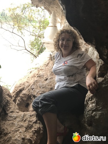 241 ����: ������ 2017. ����