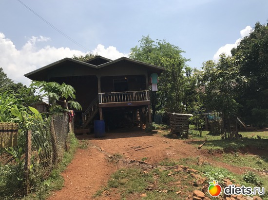 466 ����: ������ 2017. ����