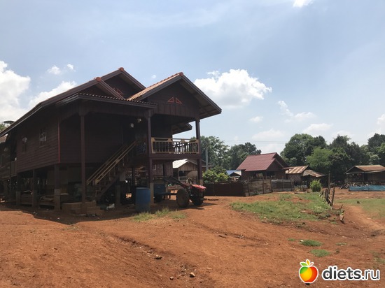 467 ����: ������ 2017. ����