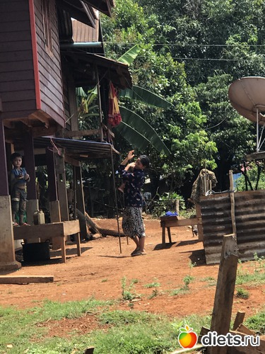 469 ����: ������ 2017. ����