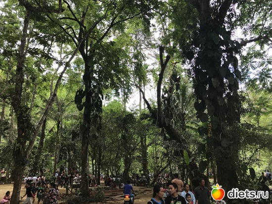 89 ����: ������ 2017. ����