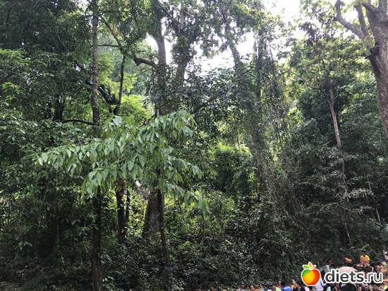 90 ����: ������ 2017. ����