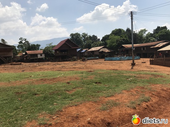 472 ����: ������ 2017. ����