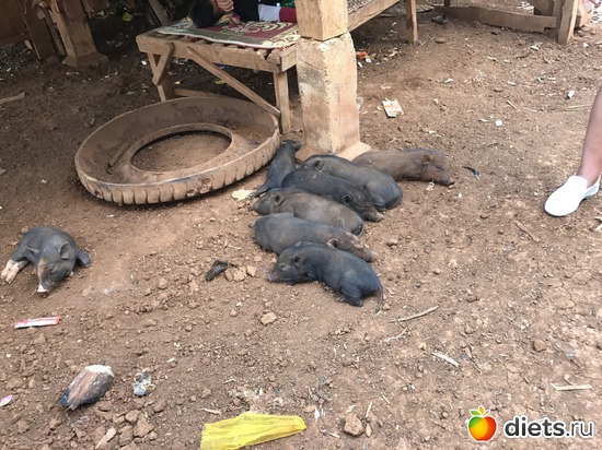 473 ����: ������ 2017. ����