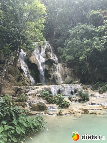 92 ����: ������ 2017. ����