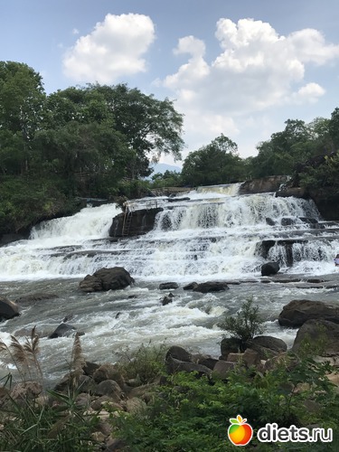 477 ����: ������ 2017. ����