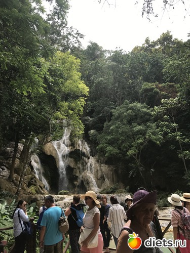 95 ����: ������ 2017. ����