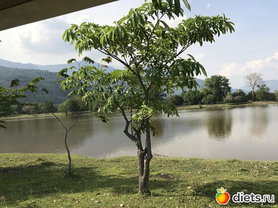 322 ����: ������ 2017. ����