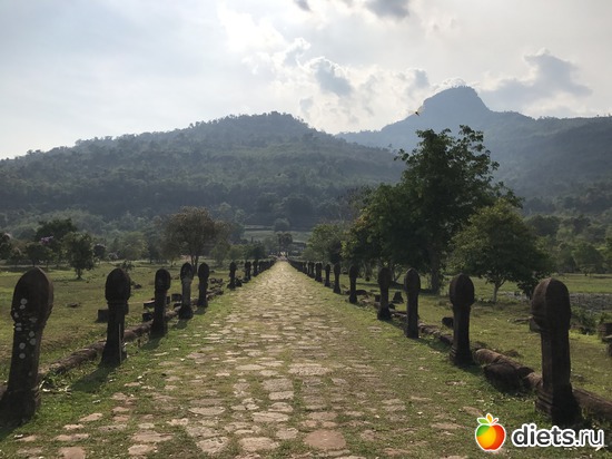 323 ����: ������ 2017. ����