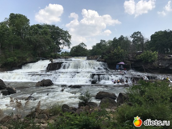 478 ����: ������ 2017. ����