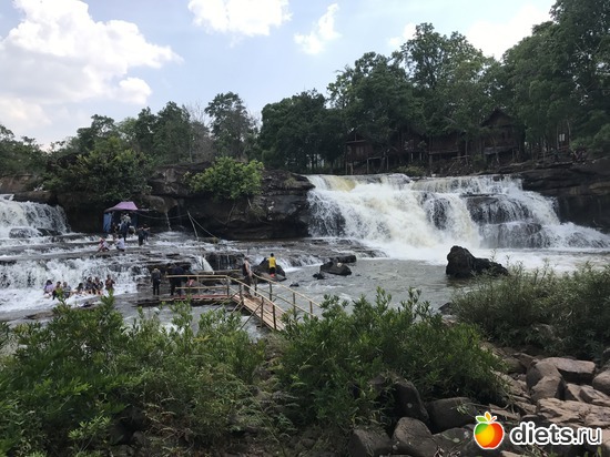 479 ����: ������ 2017. ����