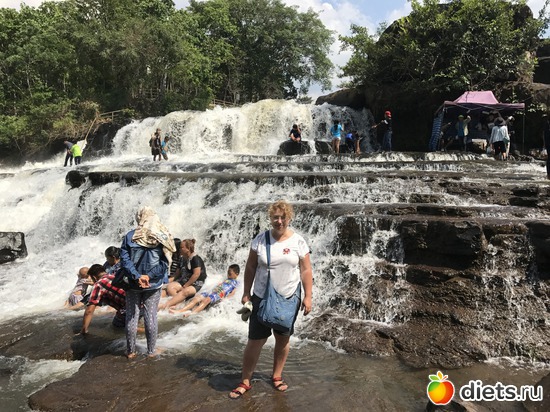 481 ����: ������ 2017. ����