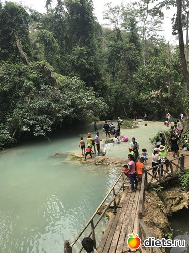 99 ����: ������ 2017. ����