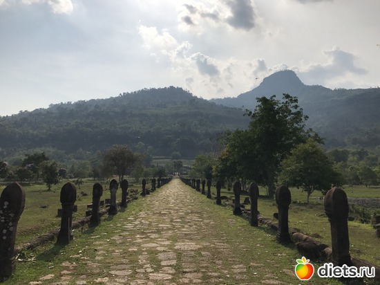 324 ����: ������ 2017. ����