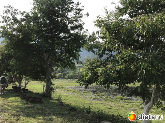 325 ����: ������ 2017. ����