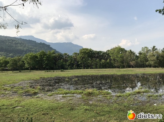 327 ����: ������ 2017. ����