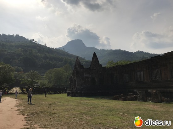 331 ����: ������ 2017. ����