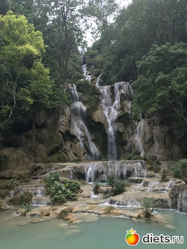 102 ����: ������ 2017. ����