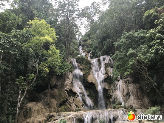 103 ����: ������ 2017. ����