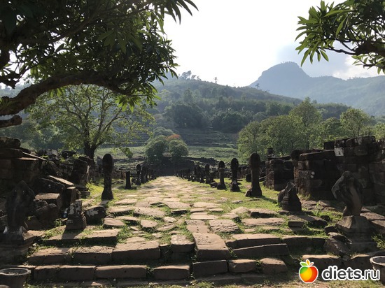 334 ����: ������ 2017. ����