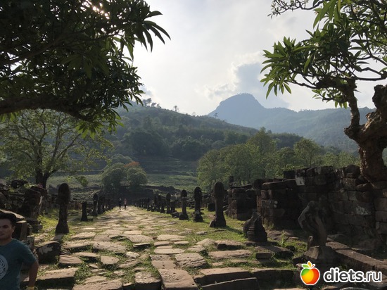 335 ����: ������ 2017. ����