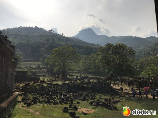 336 ����: ������ 2017. ����