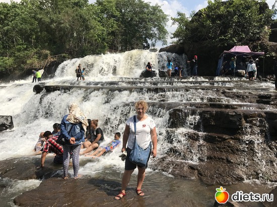 482 ����: ������ 2017. ����