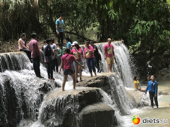 106 ����: ������ 2017. ����