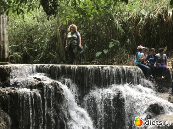 107 ����: ������ 2017. ����