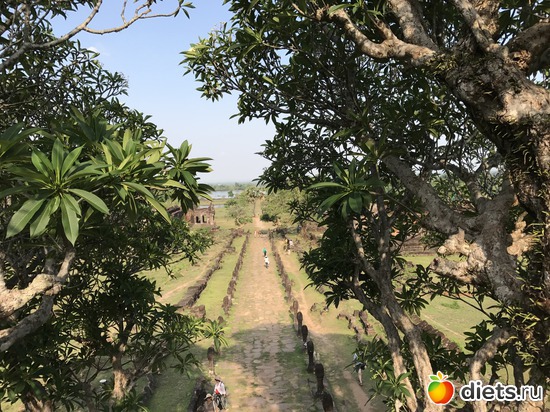 338 ����: ������ 2017. ����