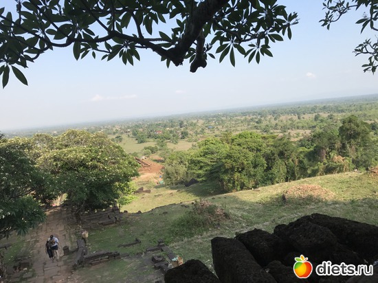 339 ����: ������ 2017. ����