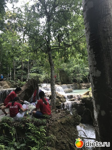 110 ����: ������ 2017. ����