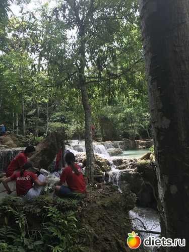 111 ����: ������ 2017. ����