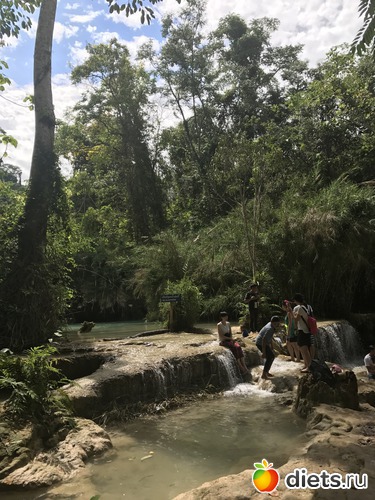 113 ����: ������ 2017. ����