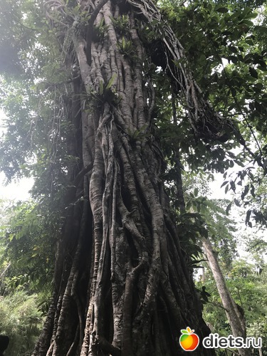 114 ����: ������ 2017. ����